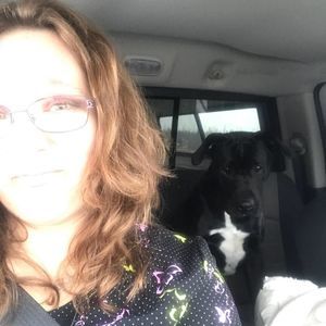 Meet your Posher, Bart